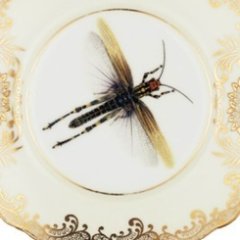 melody-rose-upcycling-ideas-dragonfly