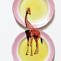 yvonne-ellen-cool-china-giraffe-plates-240
